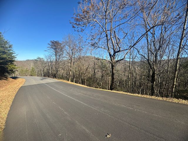 Lot 228 Andes Ridge, Ellijay, GA 30540