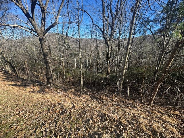 Lot 228 Andes Ridge, Ellijay, GA 30540