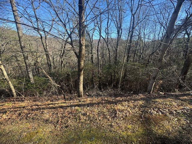Lot 228 Andes Ridge, Ellijay, GA 30540