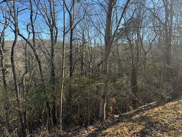 Lot 228 Andes Ridge, Ellijay, GA 30540