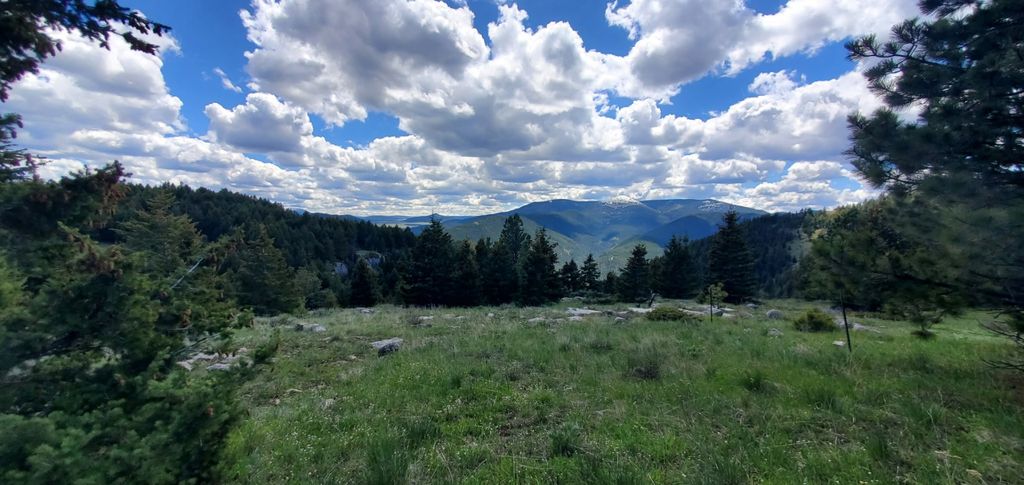 TBD Logging Creek Road, Monarch, MT 59463 photo 1