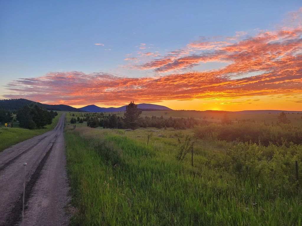 TBD Logging Creek Road, Monarch, MT 59463 photo 2