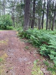 40 N Silver Lane, Hoodsport, WA 98548