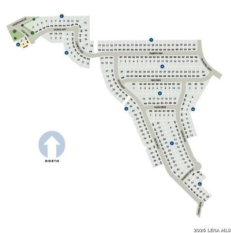 3076 Pike Drive, New Braunfels, TX 78132