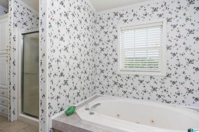 133 HIGDON CREEK ROAD, Adger, AL 35006