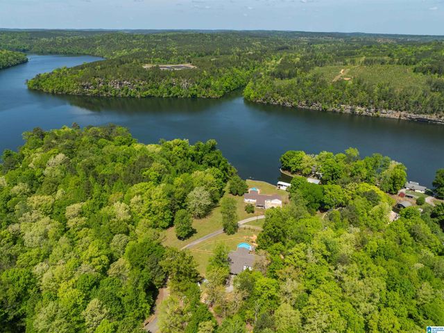133 HIGDON CREEK ROAD, Adger, AL 35006