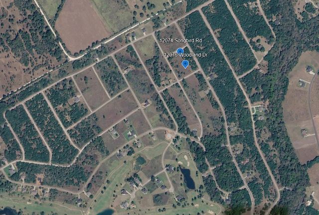 12074 Songbird Road, Whitney, TX 76692