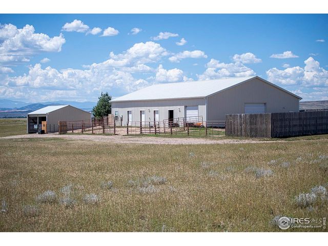 18441 Bandana Ln, Wellington, CO 80549