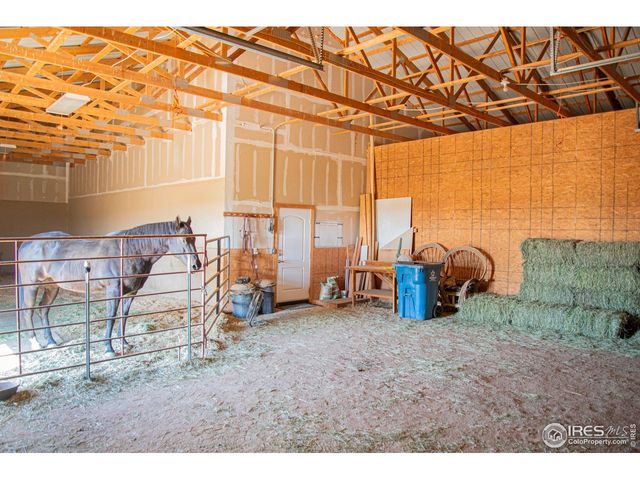 18441 Bandana Ln, Wellington, CO 80549