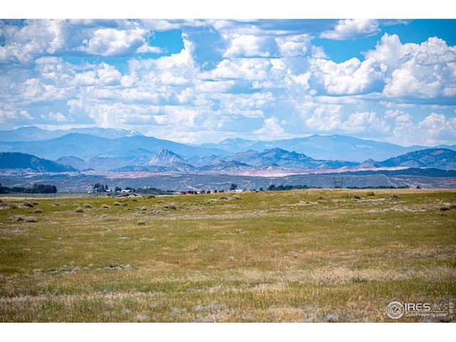 18441 Bandana Ln, Wellington, CO 80549