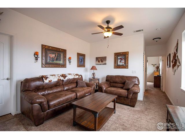 18441 Bandana Ln, Wellington, CO 80549