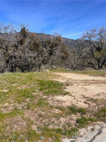 24200 Canyon Court, Tehachapi, CA 93571