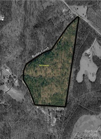 819 Grassy Knob Road, Rutherfordton, NC 28139