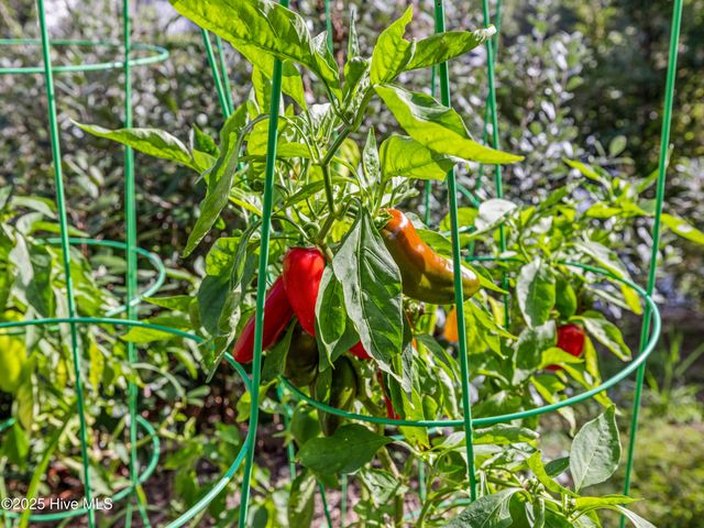 302 Breckenridge Lane, New Bern, NC 28560