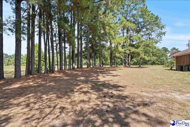 1980 Antioch Rd, Hartsville, SC 29550