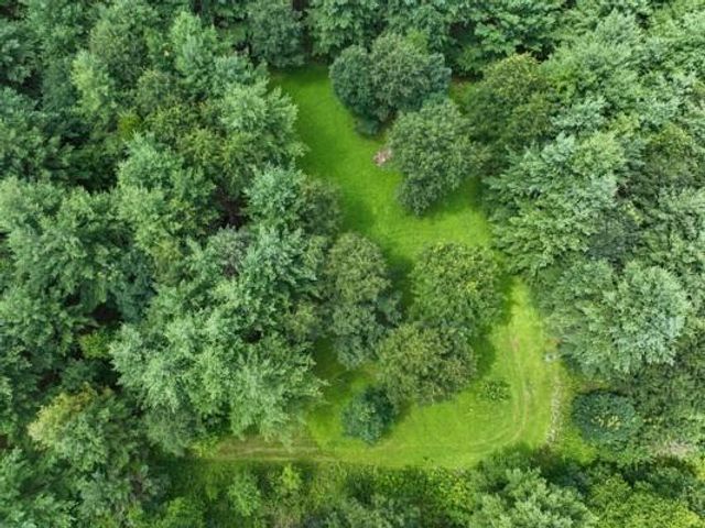 W6616 Poertner Road, Neillsville, WI 54456