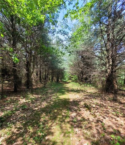 W6616 Poertner Road, Neillsville, WI 54456