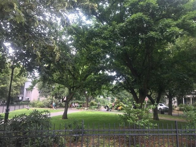 31 Linden Place 1, Brookline, MA 02445