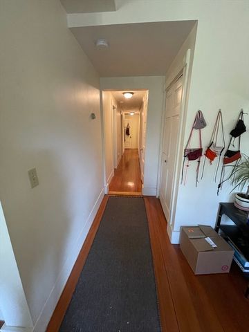 31 Linden Place 1, Brookline, MA 02445