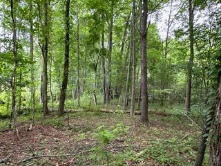 0 Dallas Nebo, Dallas, GA 30157