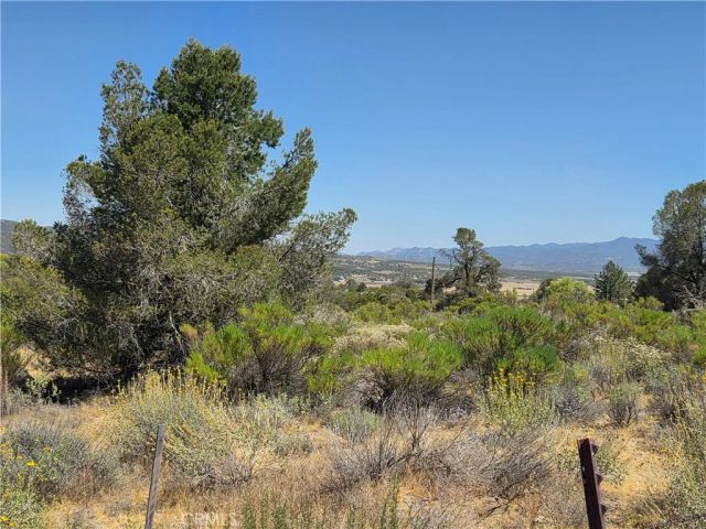 37310 Bohlen, Anza, CA 92539