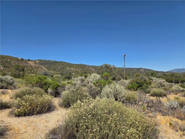 37310 Bohlen, Anza, CA 92539