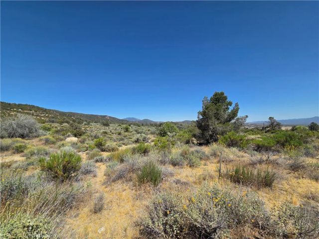 37310 Bohlen, Anza, CA 92539