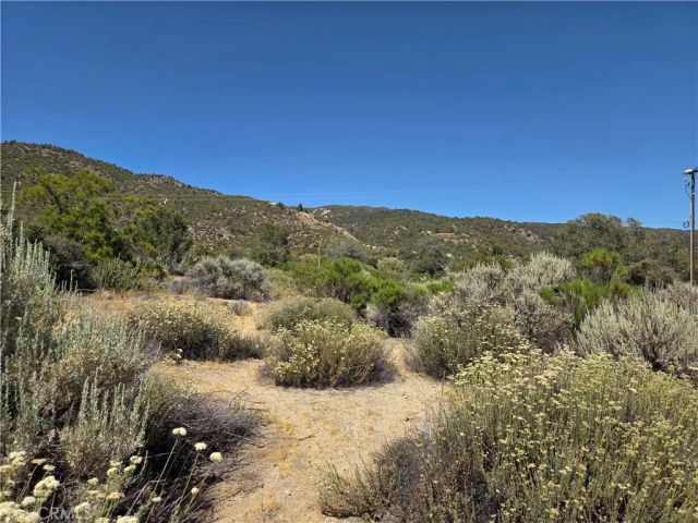 37310 Bohlen, Anza, CA 92539