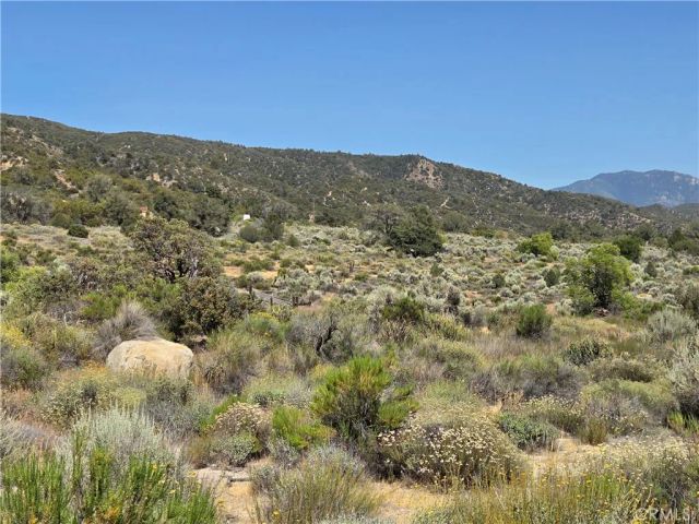 37310 Bohlen, Anza, CA 92539