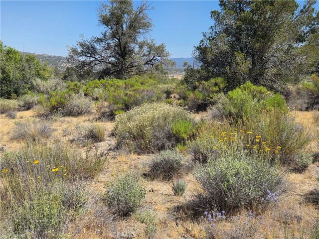 37310 Bohlen, Anza, CA 92539