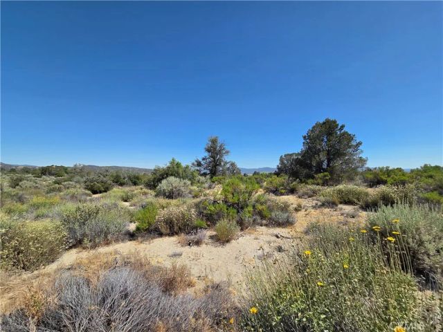 37310 Bohlen, Anza, CA 92539