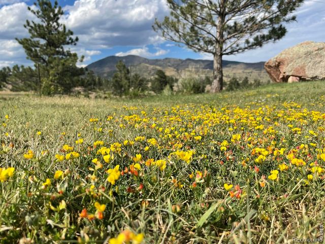 294 Wedge Rock Drive, Lyons, CO 80540