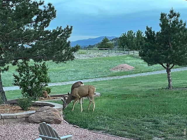 294 Wedge Rock Drive, Lyons, CO 80540