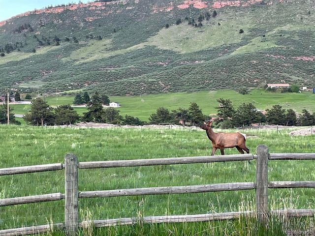 294 Wedge Rock Drive, Lyons, CO 80540