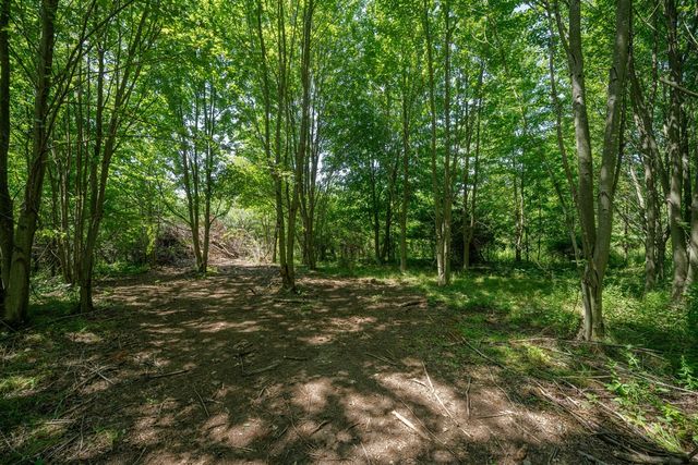 1658 66th Street, Fennville, MI 49408