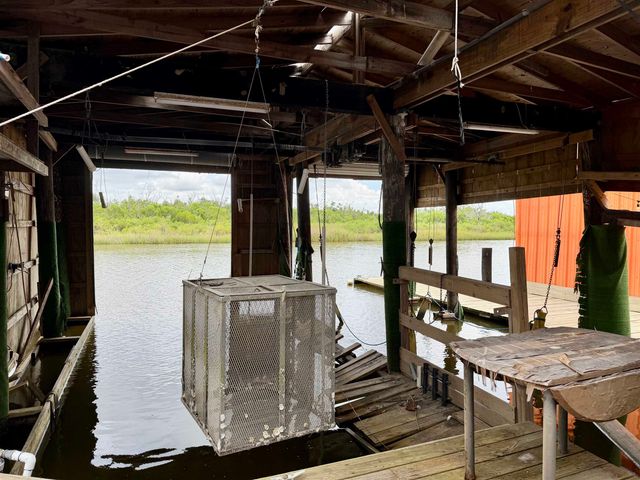 1117 Four Point Rd, Dulac, LA 70353