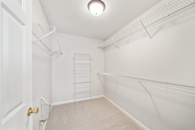 5383 LAMB VALLEY DR, Arlington, TN 38002