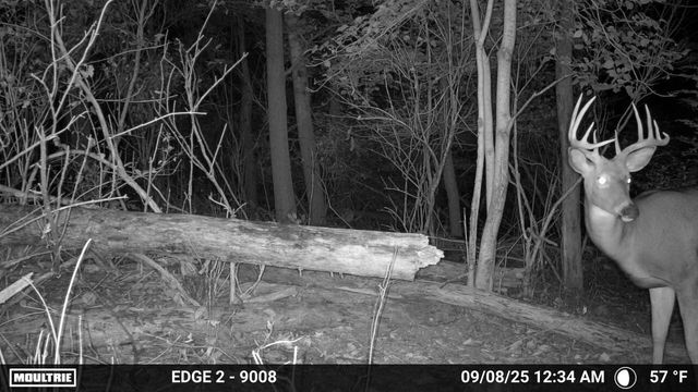 N456 Stoney Birch ROAD, Random Lake, WI 53075