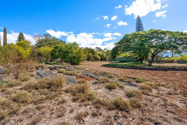 2846 Omaopio Rd, Kula, HI 96790