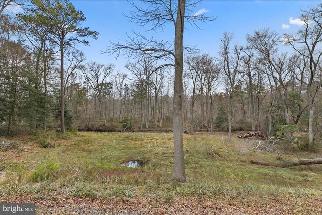 31915 ELIZABETH DR, Dagsboro, DE 19939