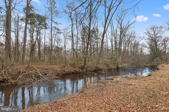 31915 ELIZABETH DR, Dagsboro, DE 19939