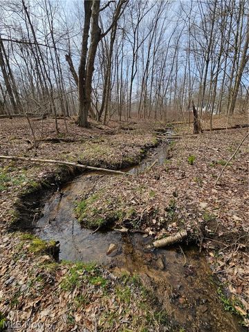 12684 Taylor Wells Road, Chardon, OH 44024