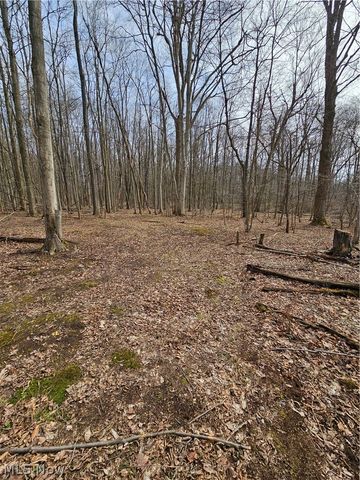 12684 Taylor Wells Road, Chardon, OH 44024