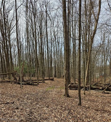 12684 Taylor Wells Road, Chardon, OH 44024