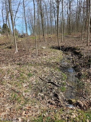 12684 Taylor Wells Road, Chardon, OH 44024