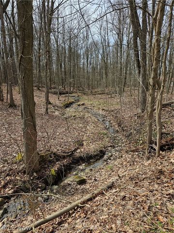 12684 Taylor Wells Road, Chardon, OH 44024