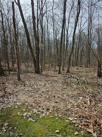 12684 Taylor Wells Road, Chardon, OH 44024