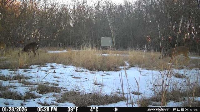 2396 CR 2145, Cooper, TX 75432