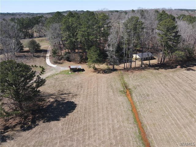 12287 PATTON PLACE, Coker, AL 35452