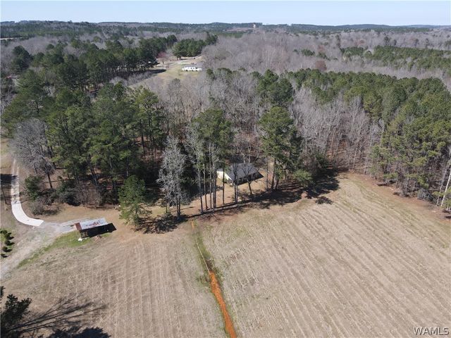 12287 PATTON PLACE, Coker, AL 35452